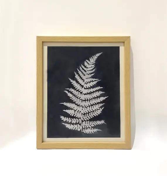 fern-imprint