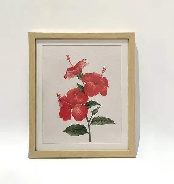 scarlet-hibiscus